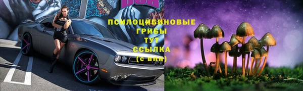 дживик Алексин