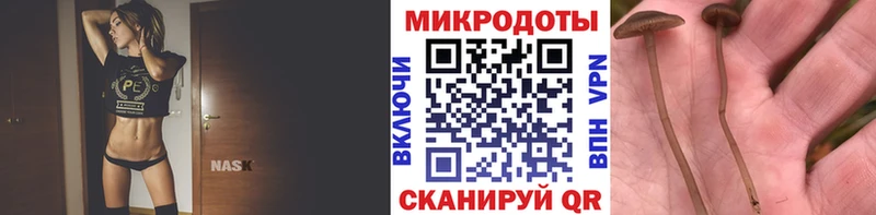 Галлюциногенные грибы Magic Shrooms  Купить закладки  Севастополь 